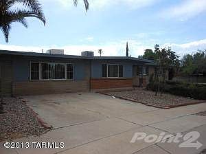 9248 E Palm Tree 003