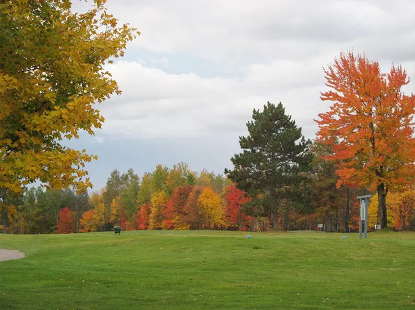 37 Fox Run Dr, Grayling, MI 49738
