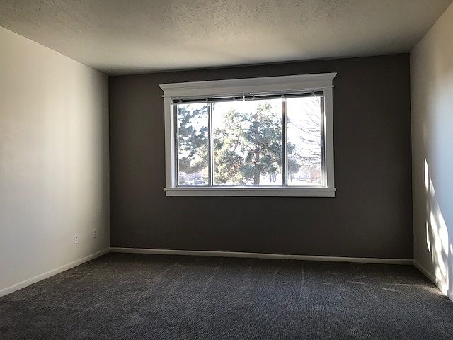 Large living room with gorgeous window molding highlighted by lovely accent wall & beautiful views.