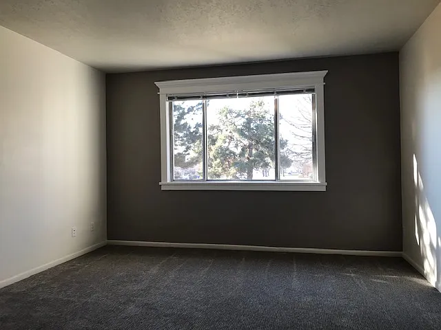 Large living room with gorgeous window molding highlighted by lovely accent wall & beautiful views.