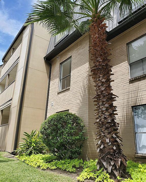 1st image of 8417 Hearth Dr APT 24