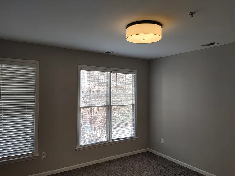 Main bedroom with great natural lighting, along with newly installed carpet and light fixture.