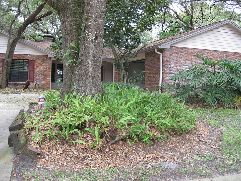 1st image of 11715 Palmer Dr