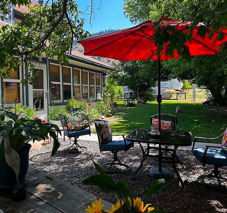 BBQ area, so much shade!