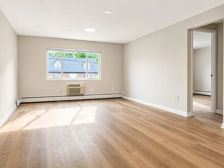 203 Lexington Ave #4 — Photo 7