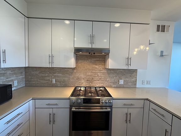 Chef's kitchen