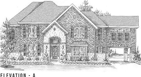 ElevationImage