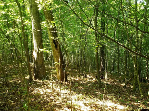 Caney Fork Rd, Cullowhee, NC 28723