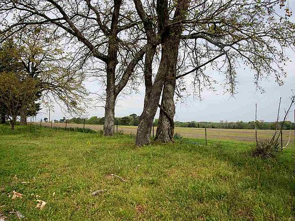 5th image of 1097 County Road 3170