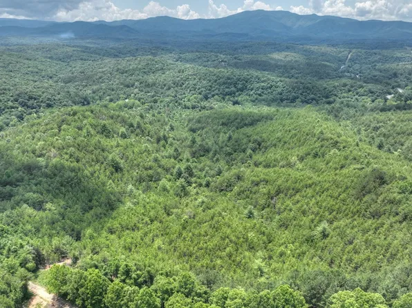 200 River Overlook Dr, Copperhill, TN 37317