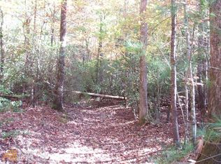 Waterfalls Way, Clarkesville, GA 30523