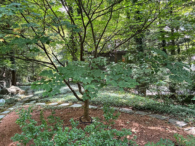 7 Hickory Ln — Photo 25