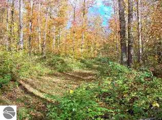 0 Peckens Rd, Honor, MI 49640