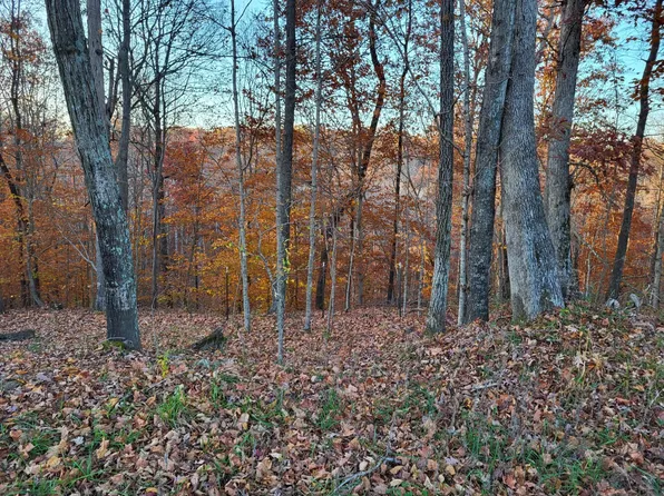 1345 Jenkins Rd Tract 2, Bowling Green, KY 42101