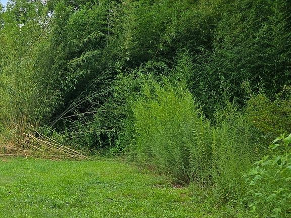 4th image of 1036 Ethel Ln