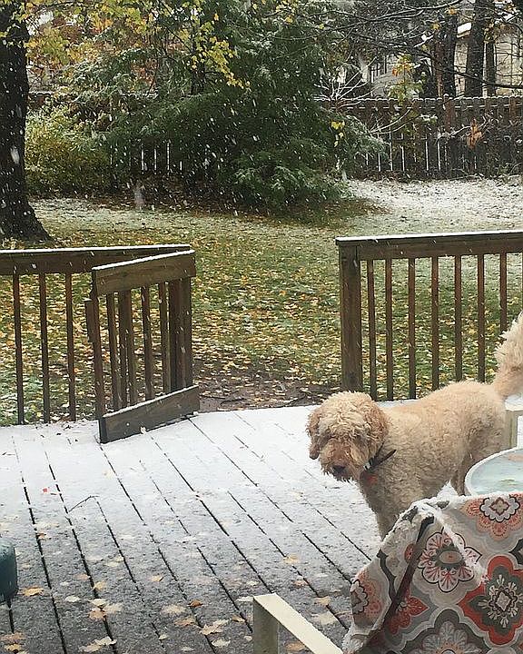 Back deck and yard