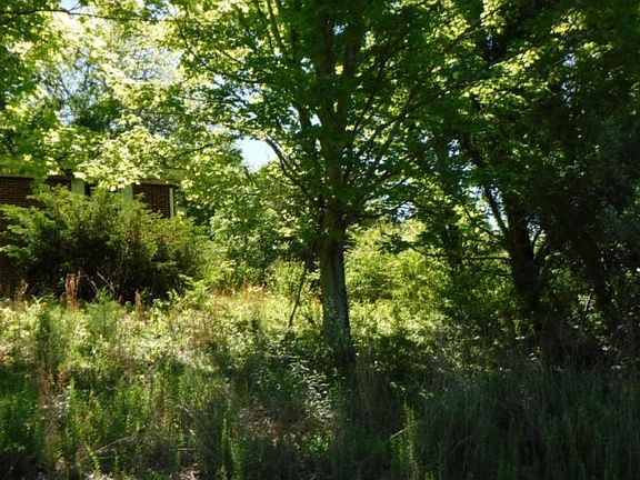 2nd image of 827 Lakeview Dr
