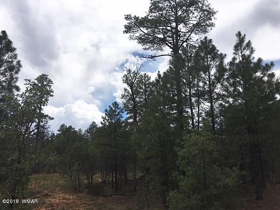 3rd image of 4161 W Shaggy Bark Rd Lot 238