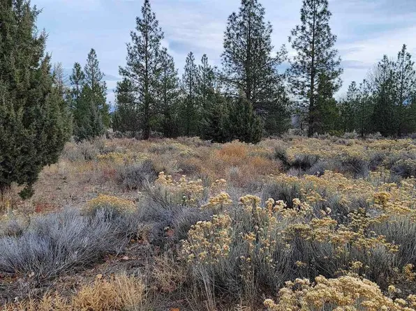 LOT 91 Lake Shore Dr, Weed, CA 96094