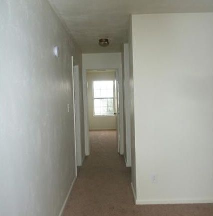 4th image of 7931 Orchid Ave APT 15