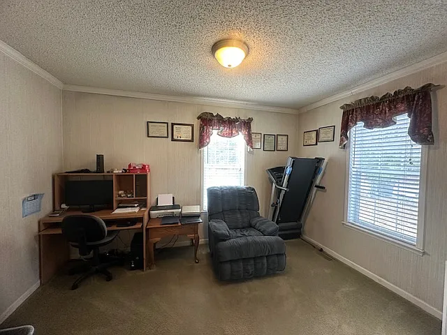 29 Mike Dr — Photo 22
