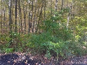 2nd image of 0 Budd Lane