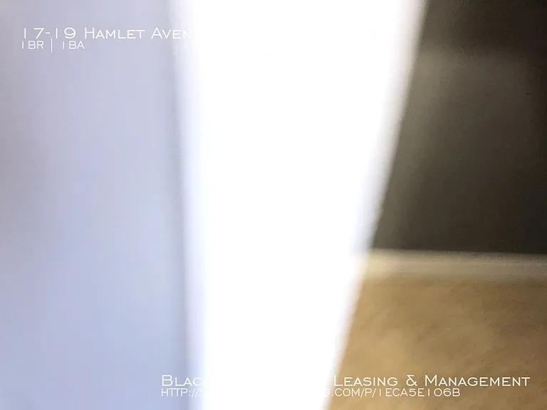 17-19 Hamlet Ave — Photo 3
