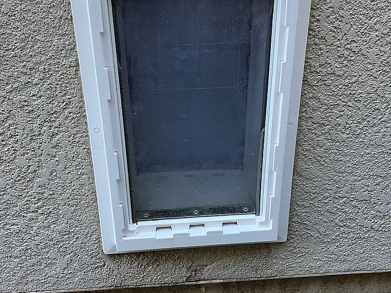 Pet Door