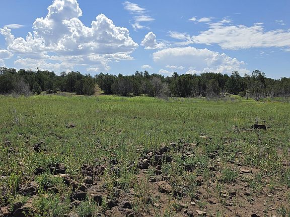 3rd image of County Road 8026
