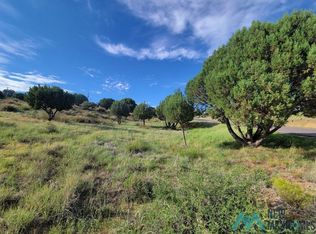 Xx Copper Ridge Rd, Silver City, NM 88061