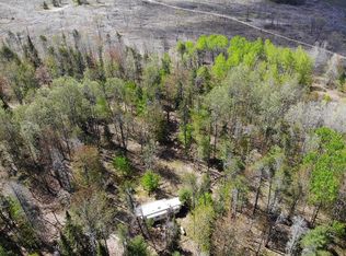 6149 Hastings Rd, Indian River, MI 49749