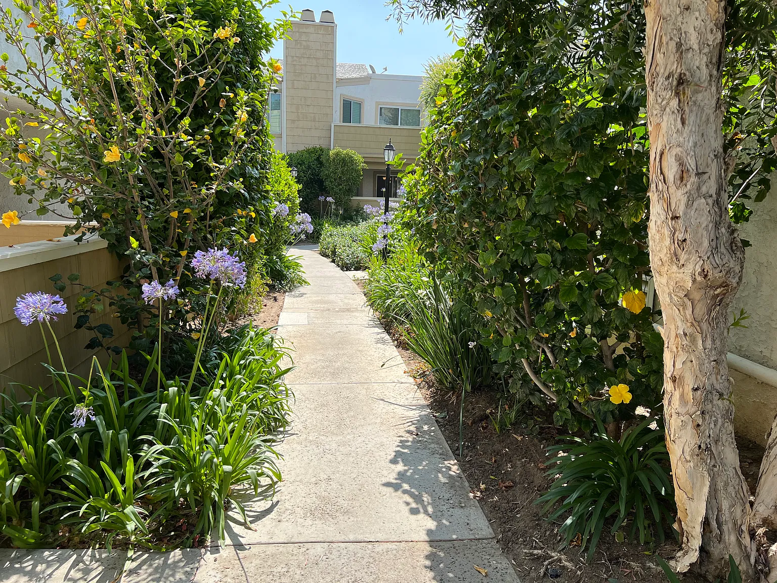 2 bed, $2,650 — Photo 4