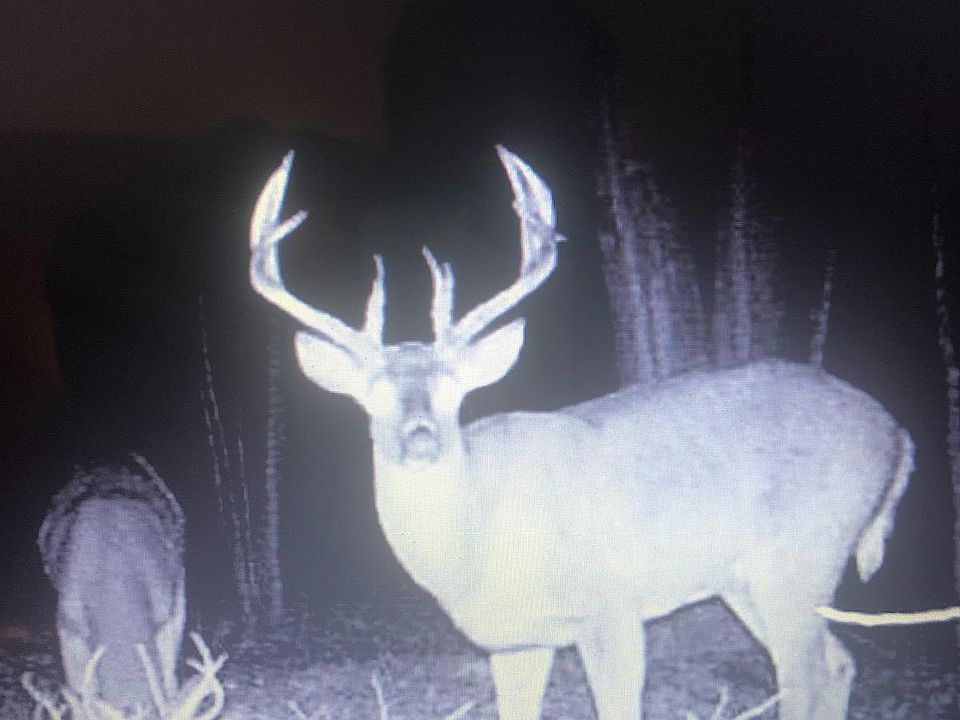 2nd image of 5263 117th Ave