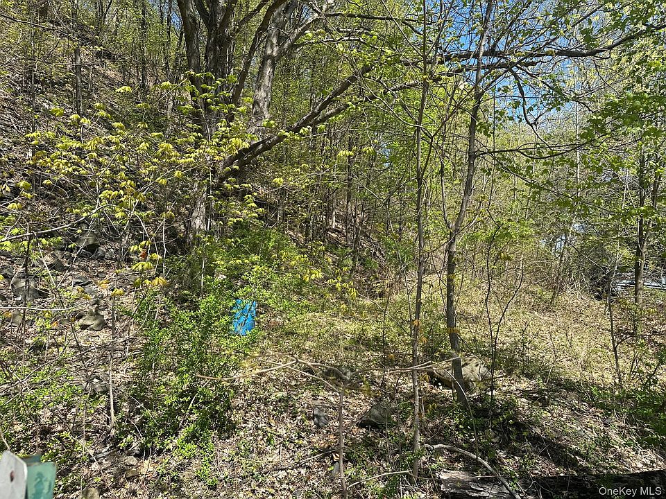 2nd image of Haviland Road