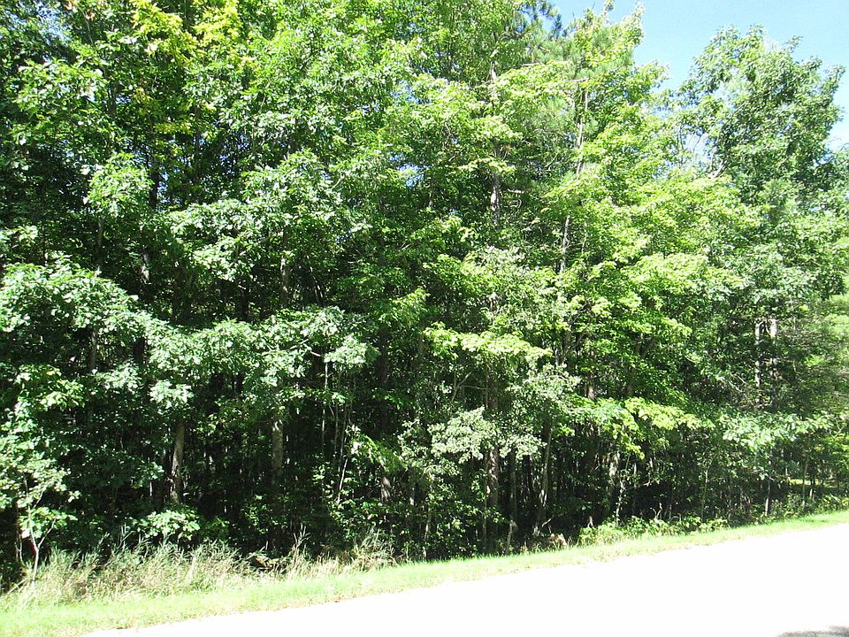 1st image of Big Buck Dr