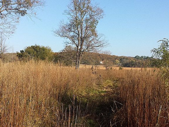 Road into the 5 acres