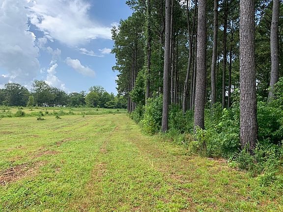 5th image of LOT 2 Highway 51 N