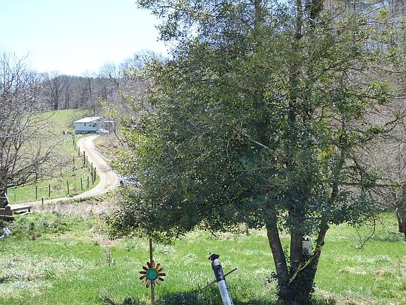 3rd image of 346 Mountain Music Ln
