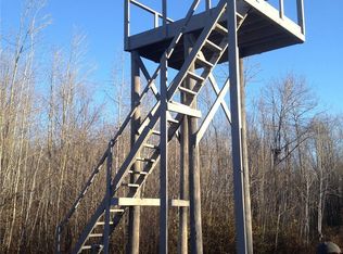 0 Squires Rd, Ojibwa, WI 54862