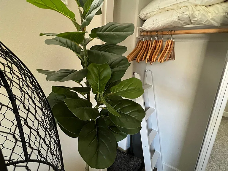 Fern Haven Farm — Photo 12