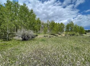 7 Mohawk Path, Lake George, CO 80827