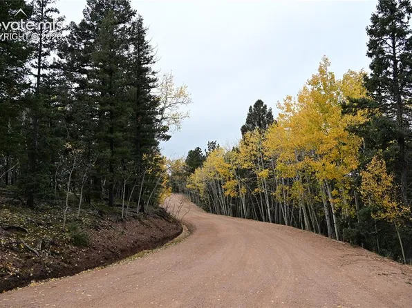 1020 Princess Rd, Cripple Creek, CO 80813