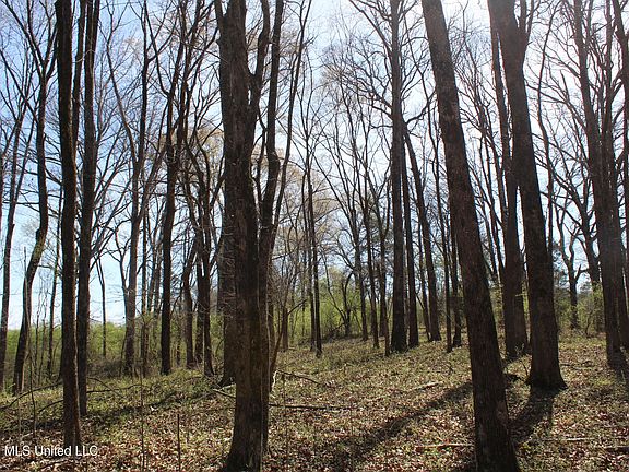 3rd image of 10 Barton Desoto Rd