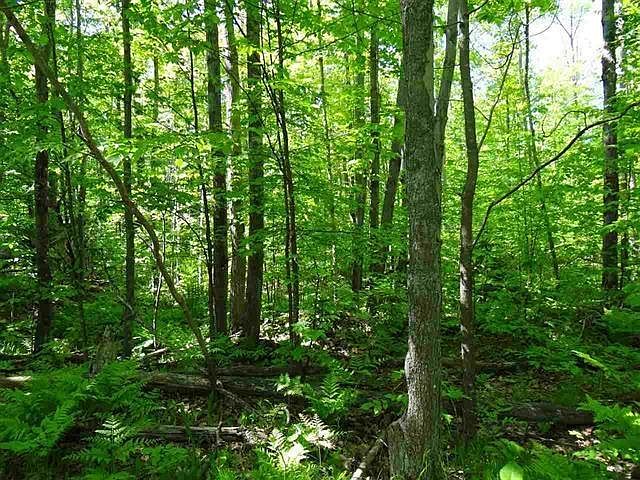 2nd image of 1.79 Acres On Shangrila Dr
