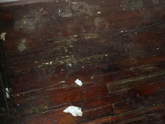 2nd image of 6001 Oleander Avenue