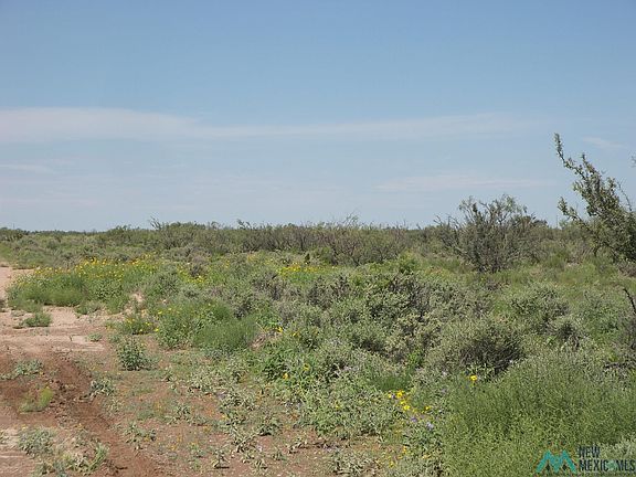 3rd image of Camino Dos Rd SW