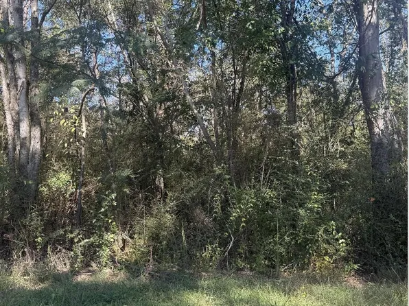 Morgan Rd, Quinton, AL 35130