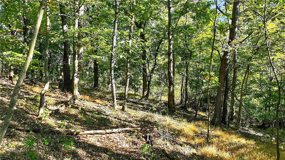 LOT Dovercrest Rd photo 1