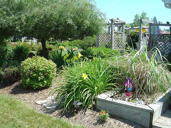 Side Yard