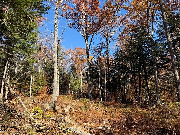 2nd image of 0 Town Farm Road